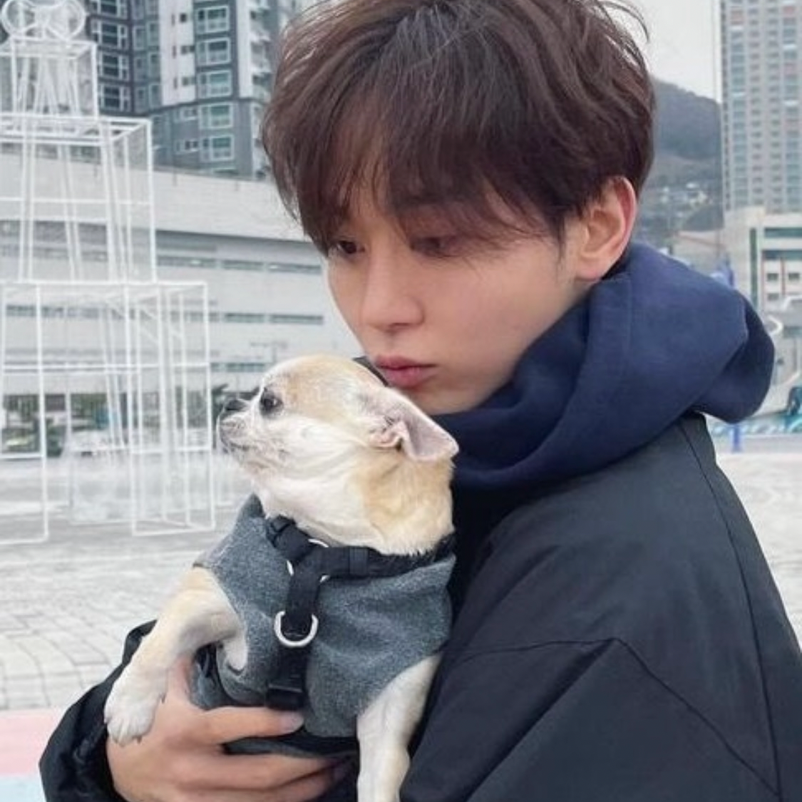 세븐틴 최근 활동샷