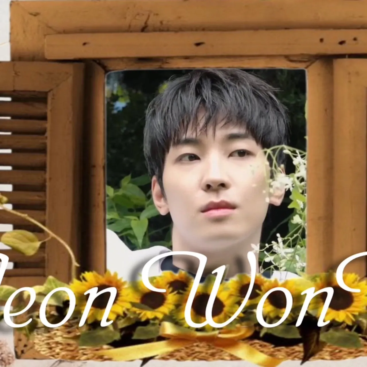 A moment captured by Wonwoo (SEVENTEEN)'s fan