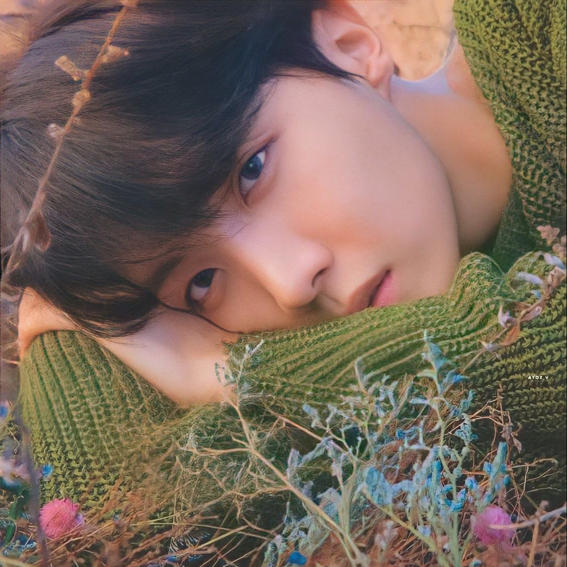 제이홉 (방탄소년단) 팬이 찍은 순간