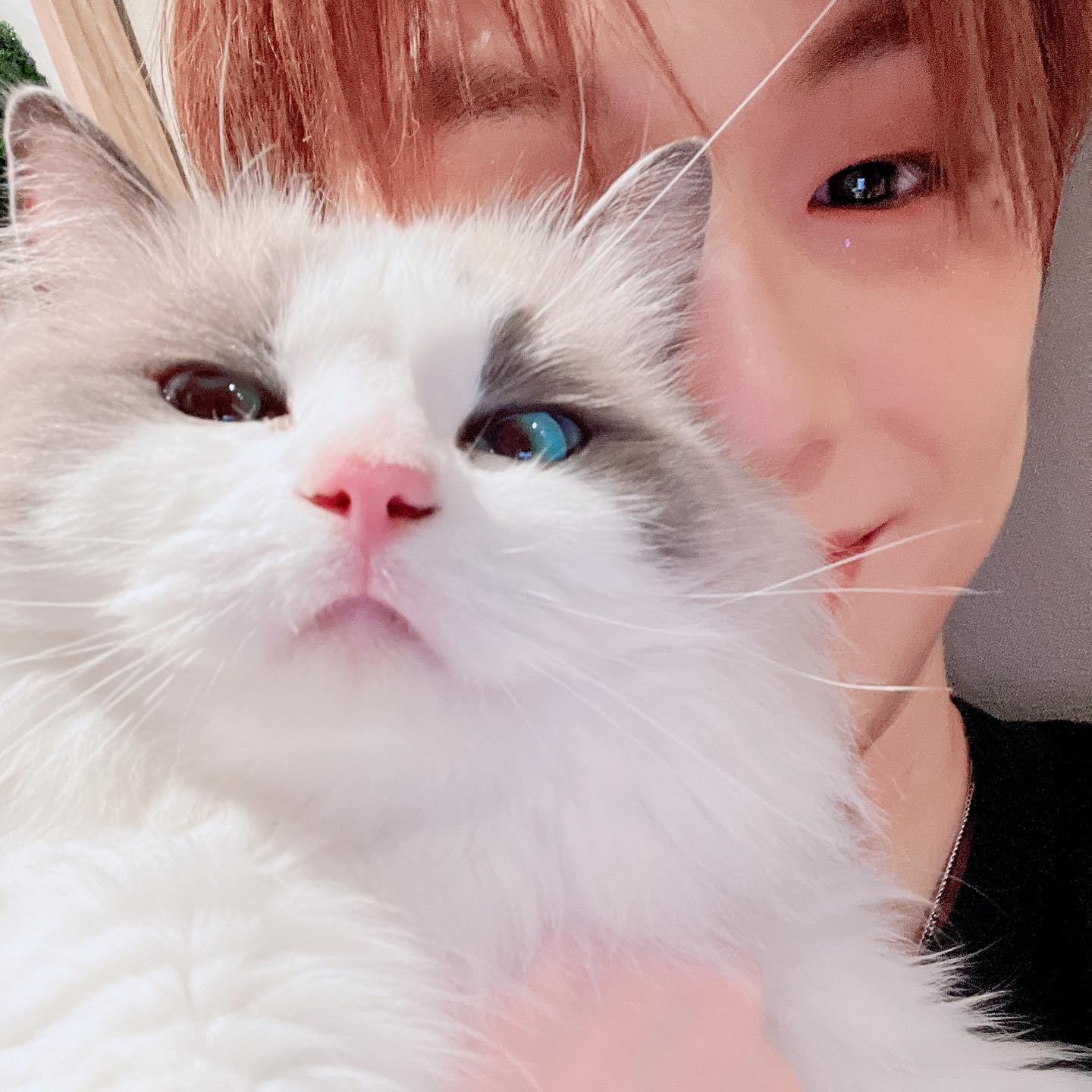 강다니엘의 최신 사진