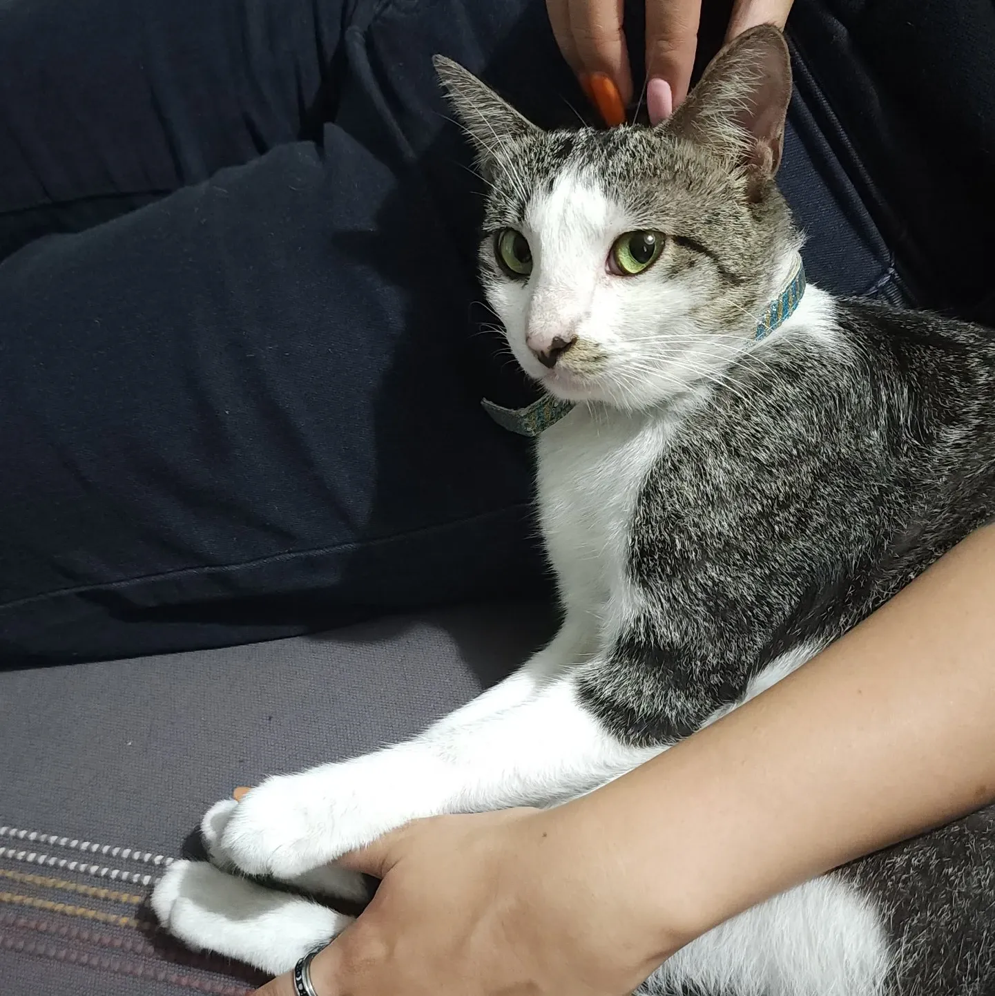 Foto aktivitas terbaru SEVENTEEN