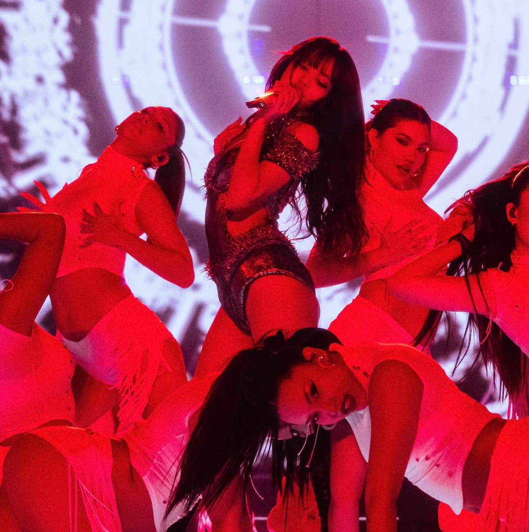 리사 (BLACKPINK) 팬이 찍은 순간