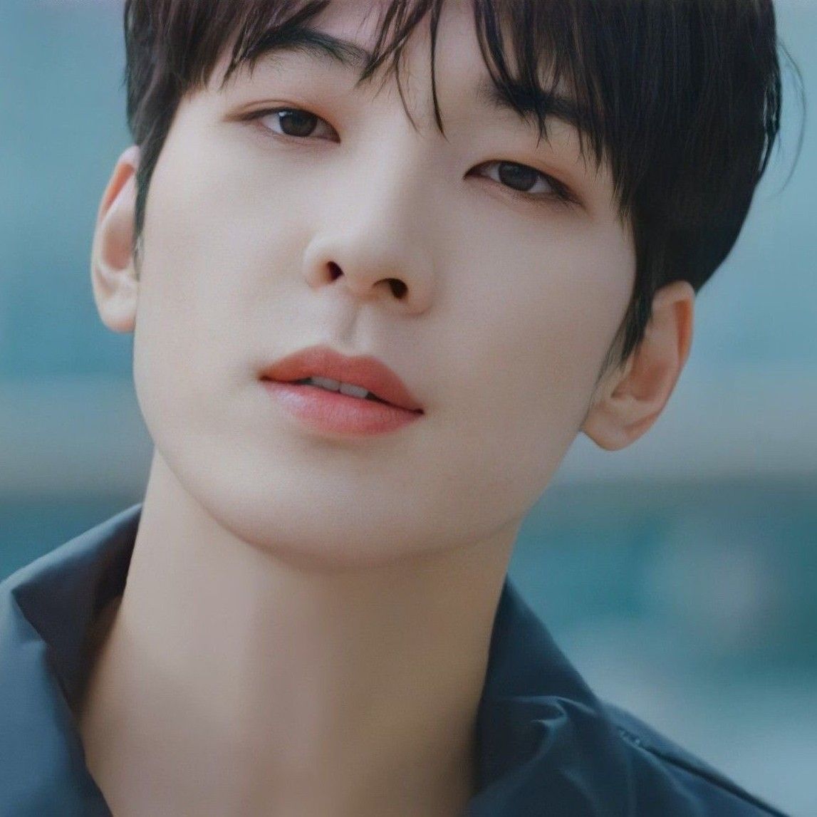 A moment captured by Wonwoo (SEVENTEEN)'s fan