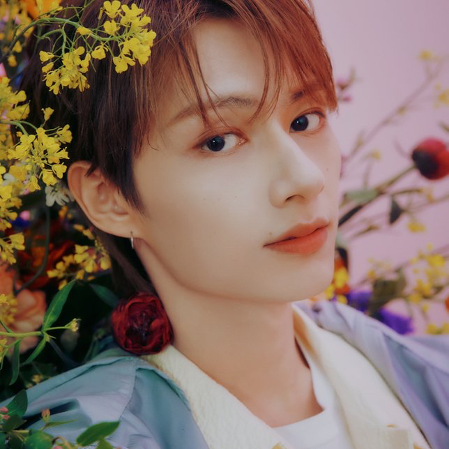 SEVENTEEN粉絲拍下的瞬間