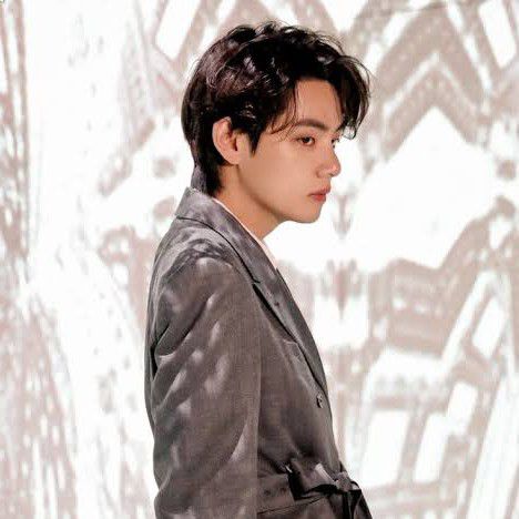 V (BTS)の舞台裏ショット