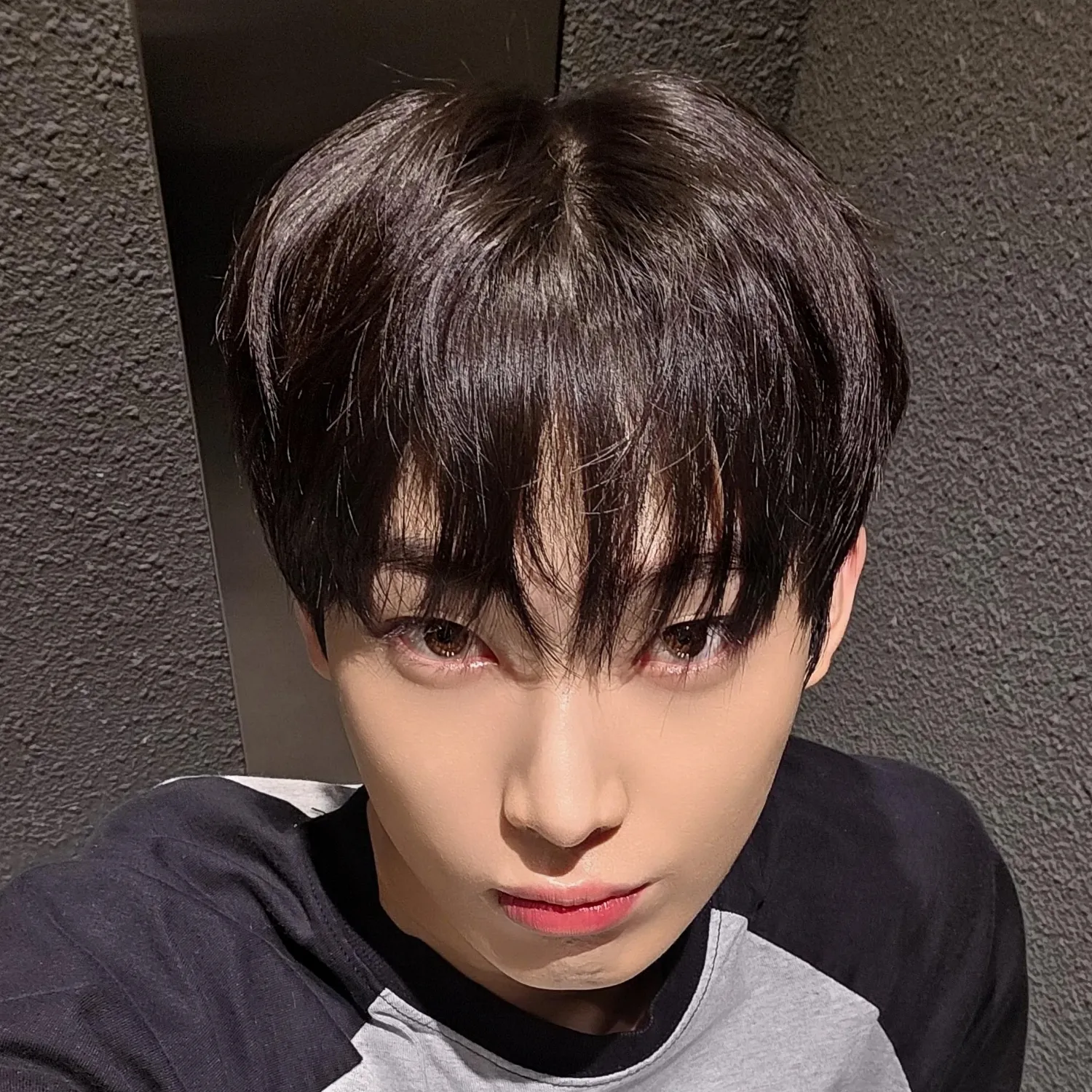 선우 (ENHYPEN) 최근 활동샷