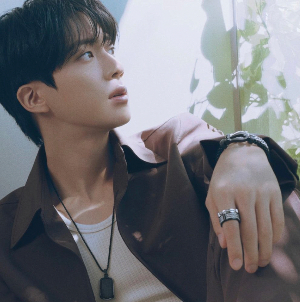 Momen yang diabadikan oleh penggemar Jin (BTS)