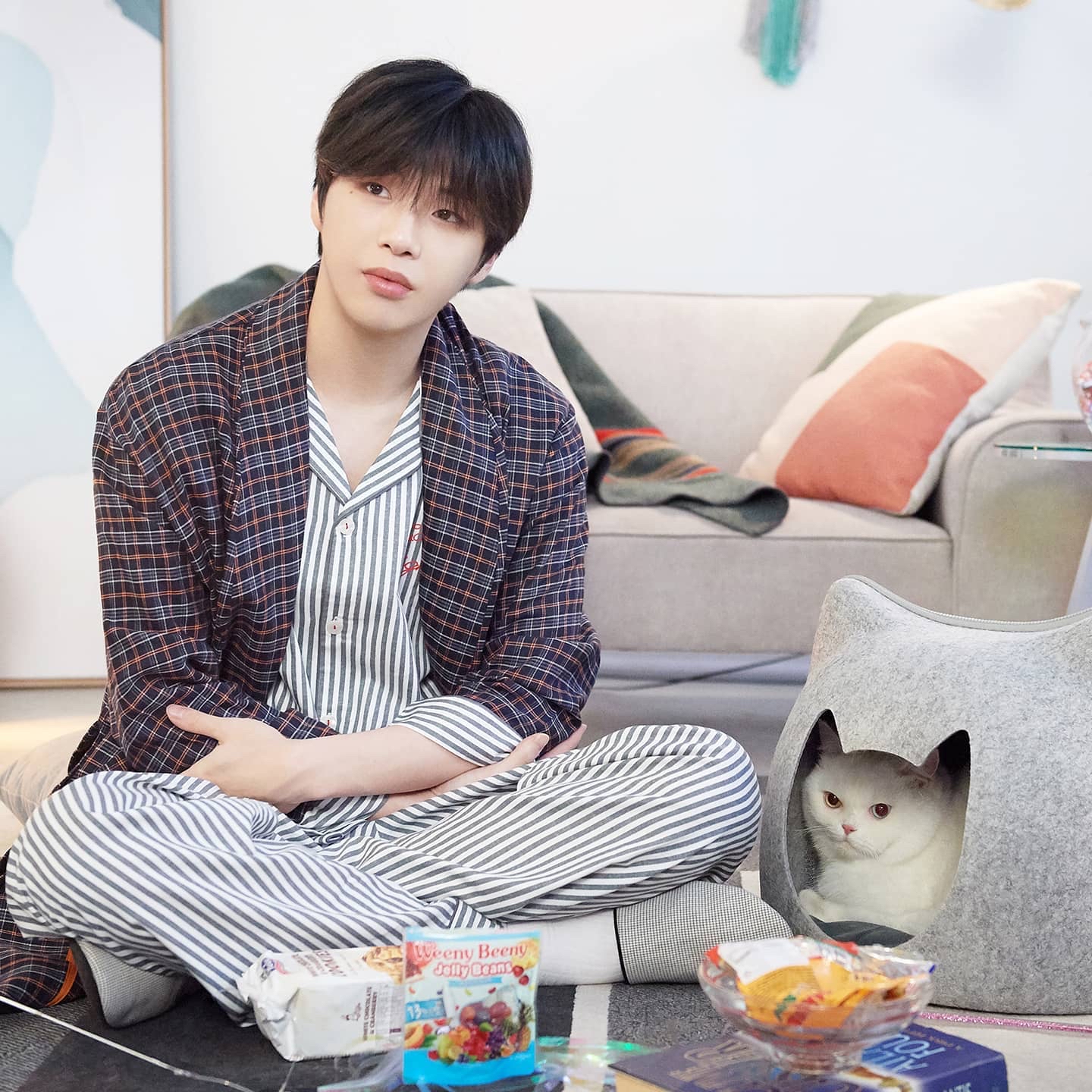 강다니엘 팬이 찍은 순간