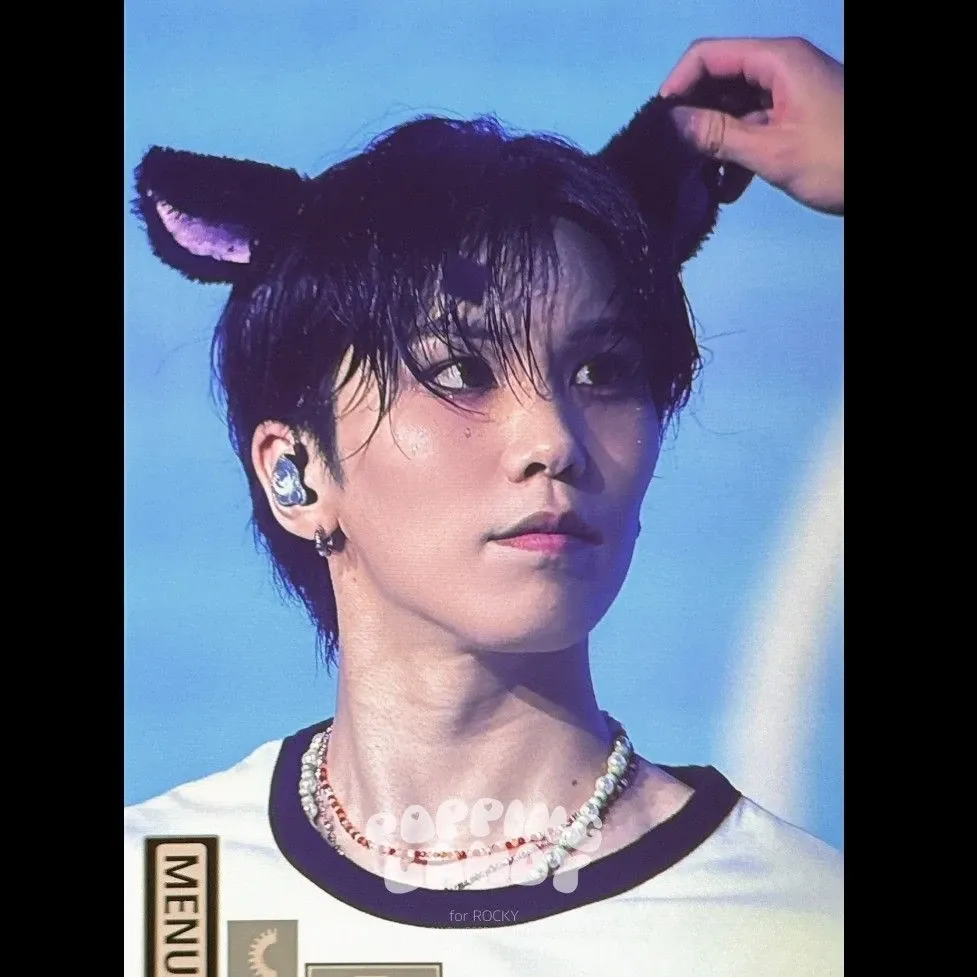 Recent activity shot of Rocky