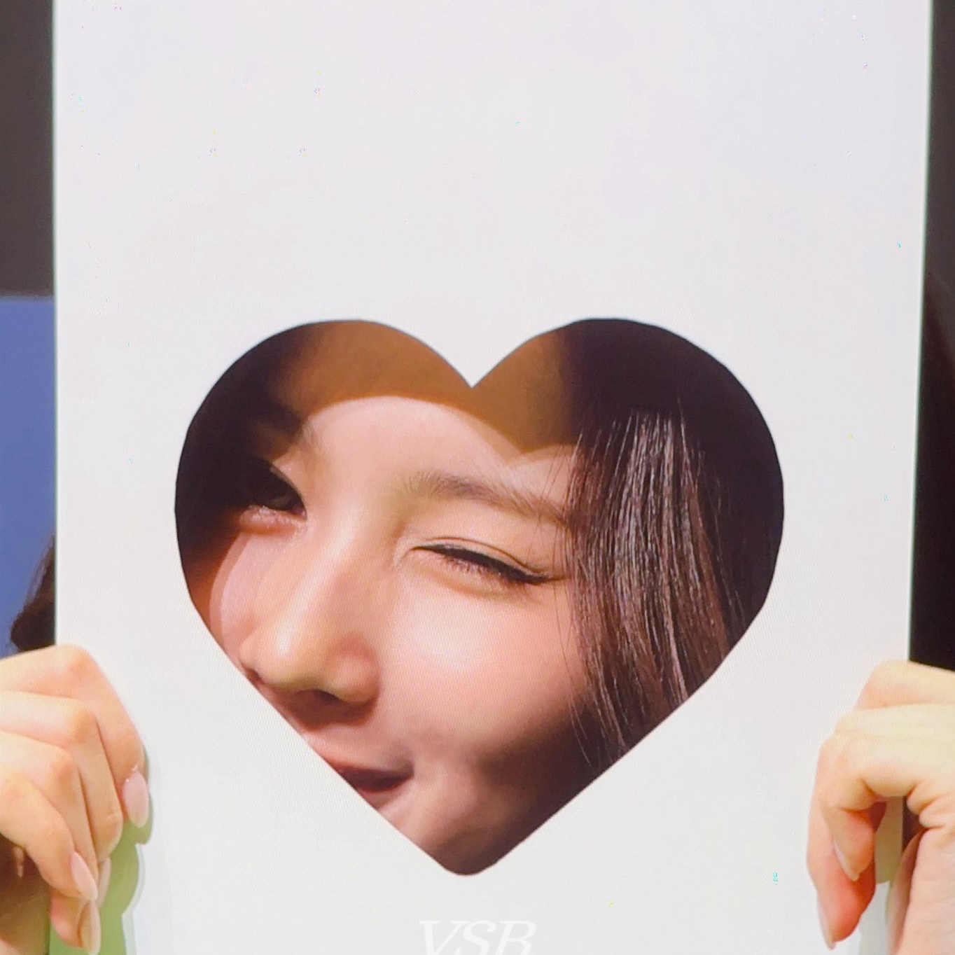 사나 (TWICE) 팬이 찍은 순간