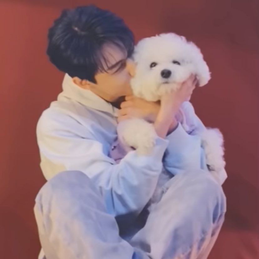 세븐틴 최근 활동샷
