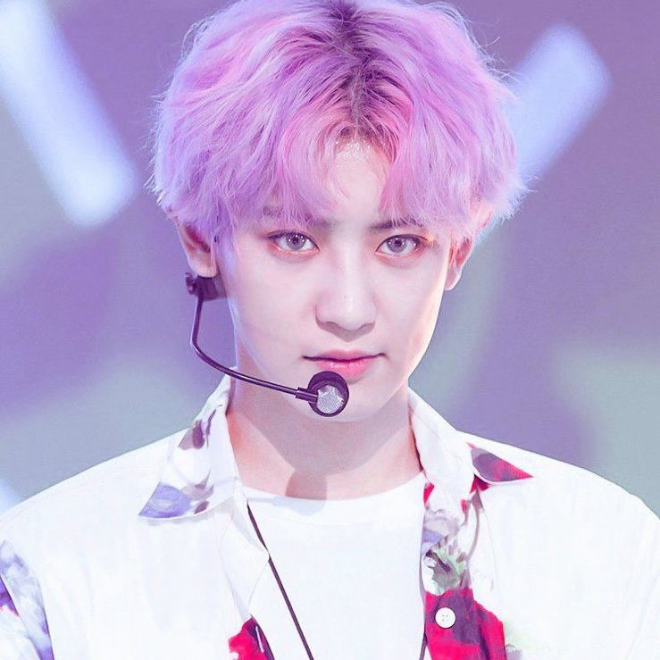 燦烈 (EXO)粉絲拍下的瞬間