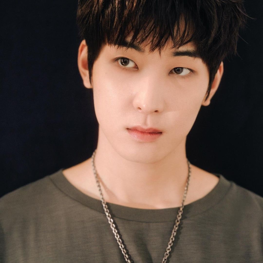 SEVENTEENファンが撮った瞬間