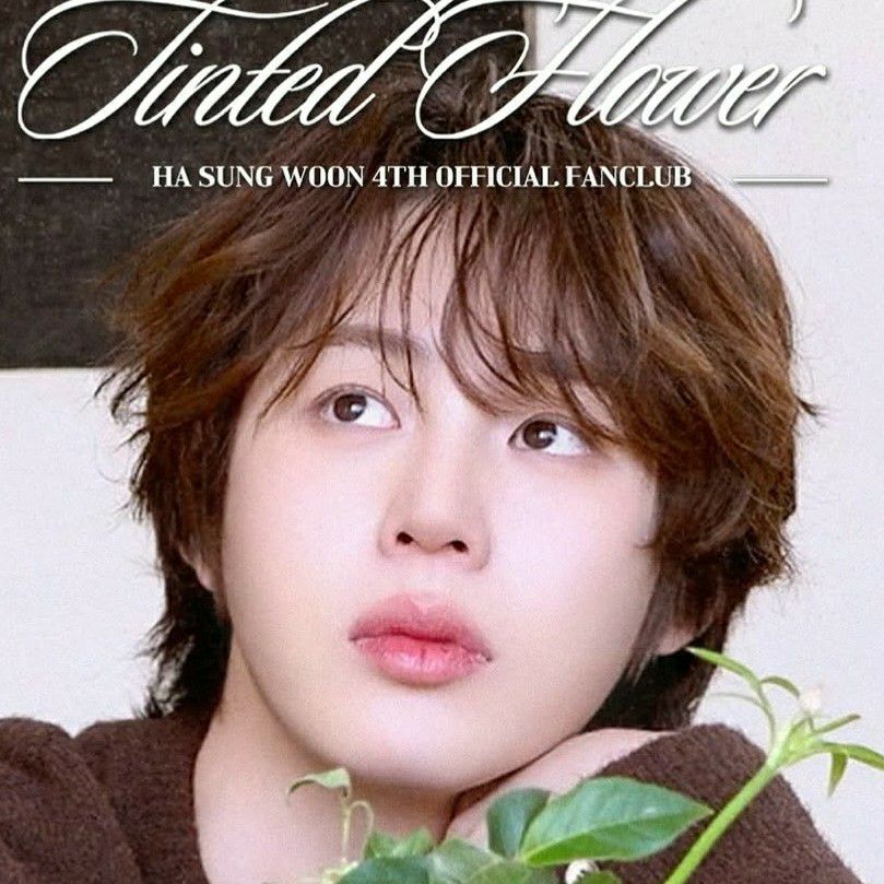 ハ・ソンウンファンが撮った瞬間