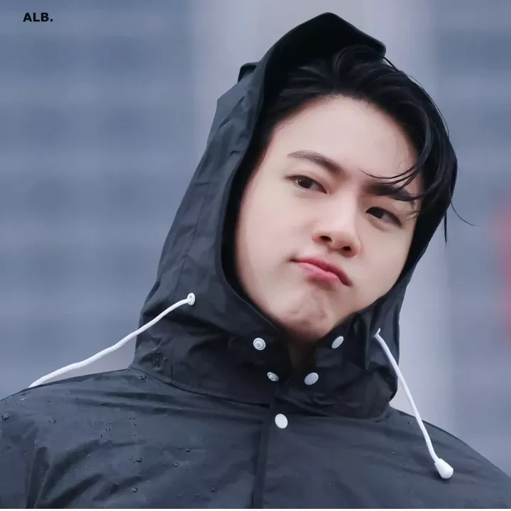 Potret di balik layar Jin (BTS)