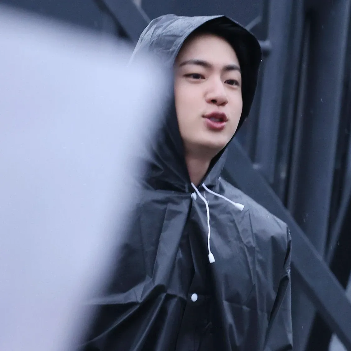 진 (방탄소년단) 팬이 찍은 순간