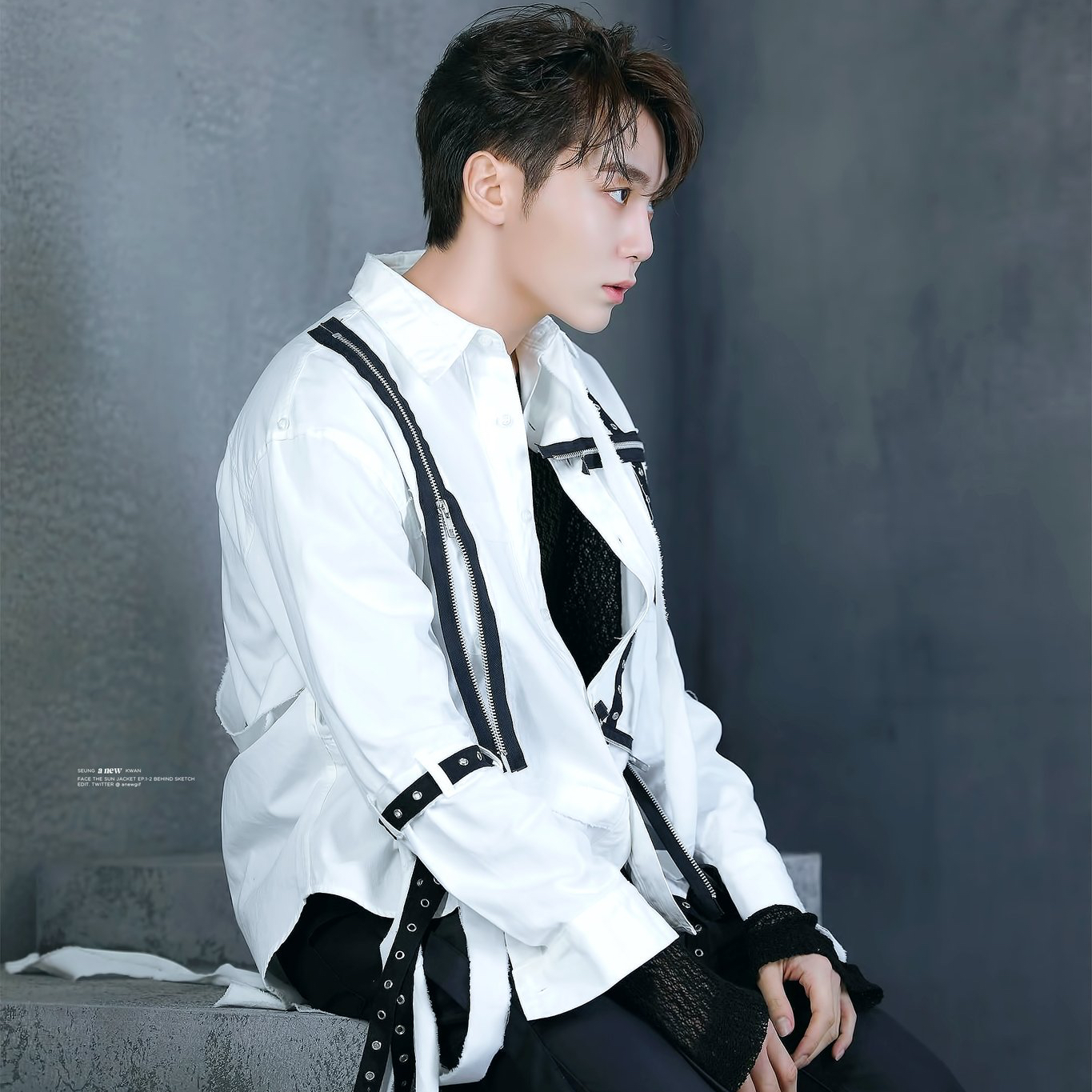 SEVENTEENファンが撮った瞬間