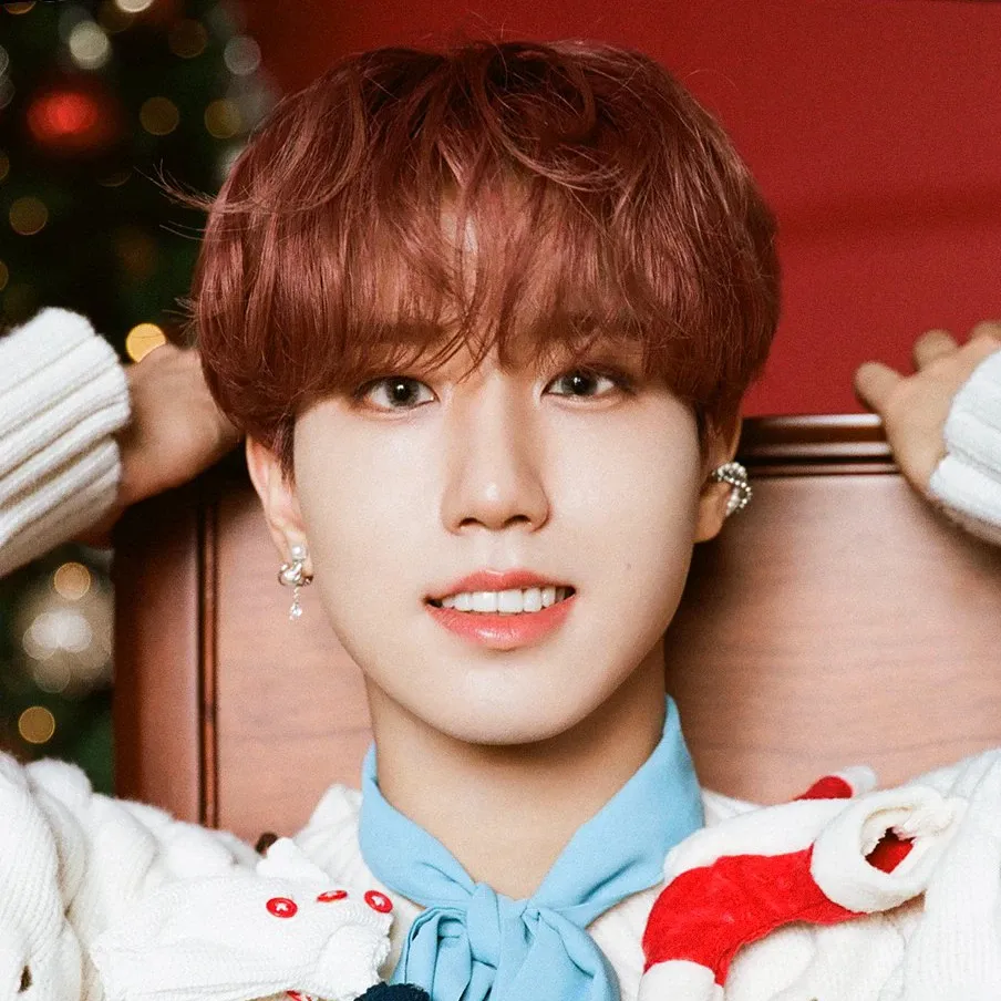 Recent activity shot of HAN (Stray Kids)