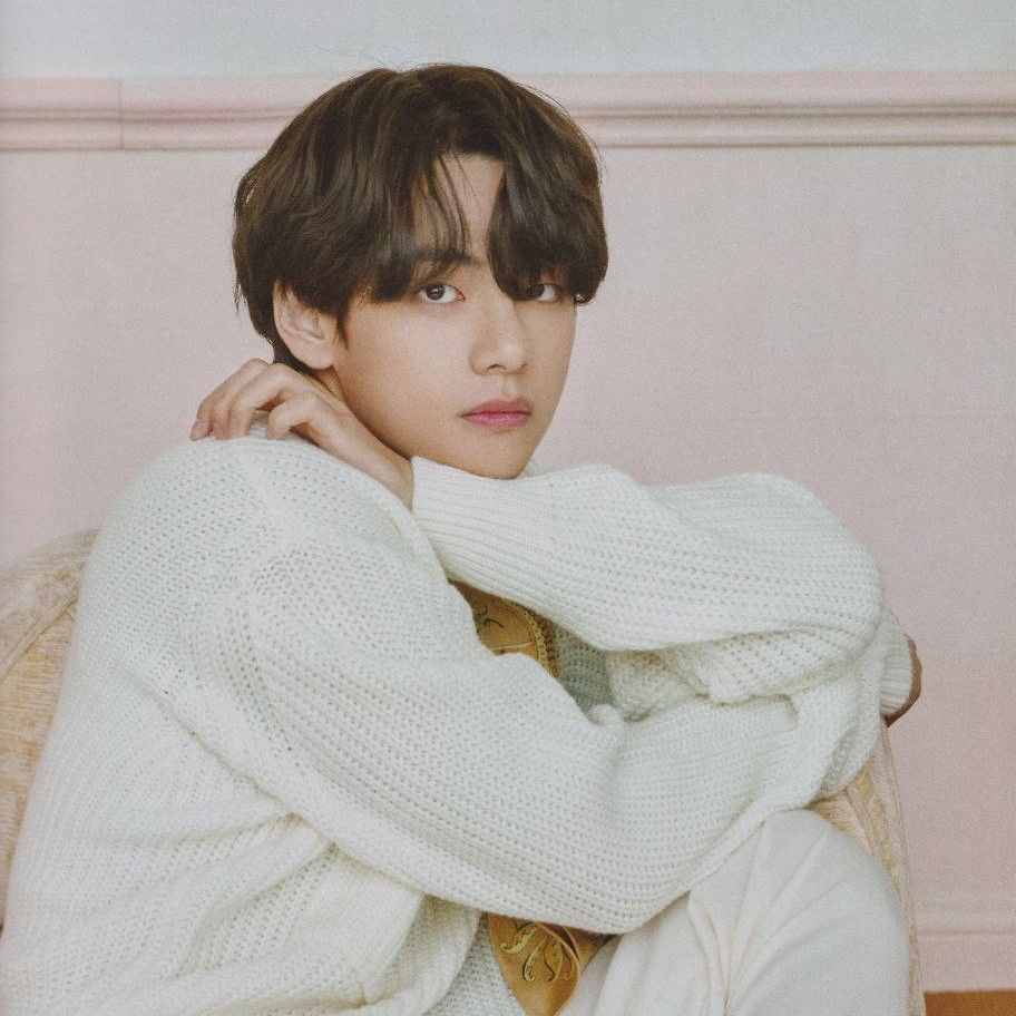 뷔 (방탄소년단)의 비하인드 컷