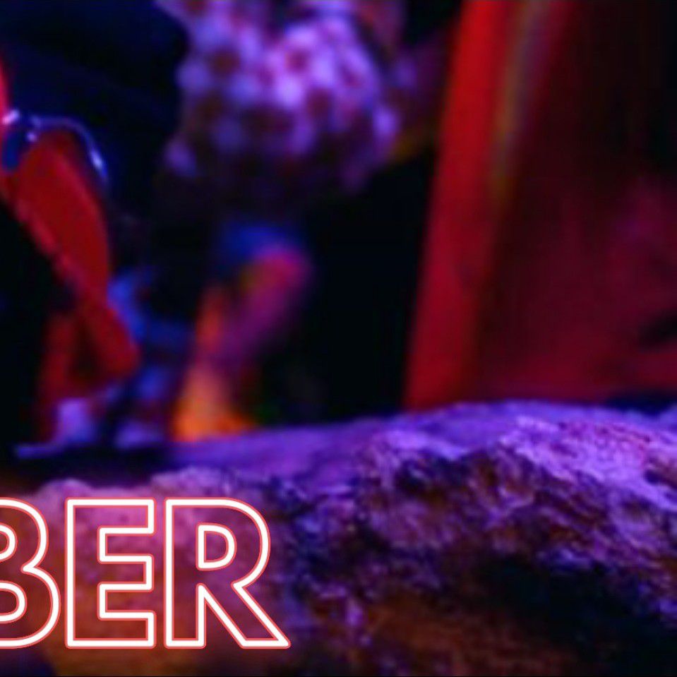 ジャスティン・ビーバーの最近の活動写真