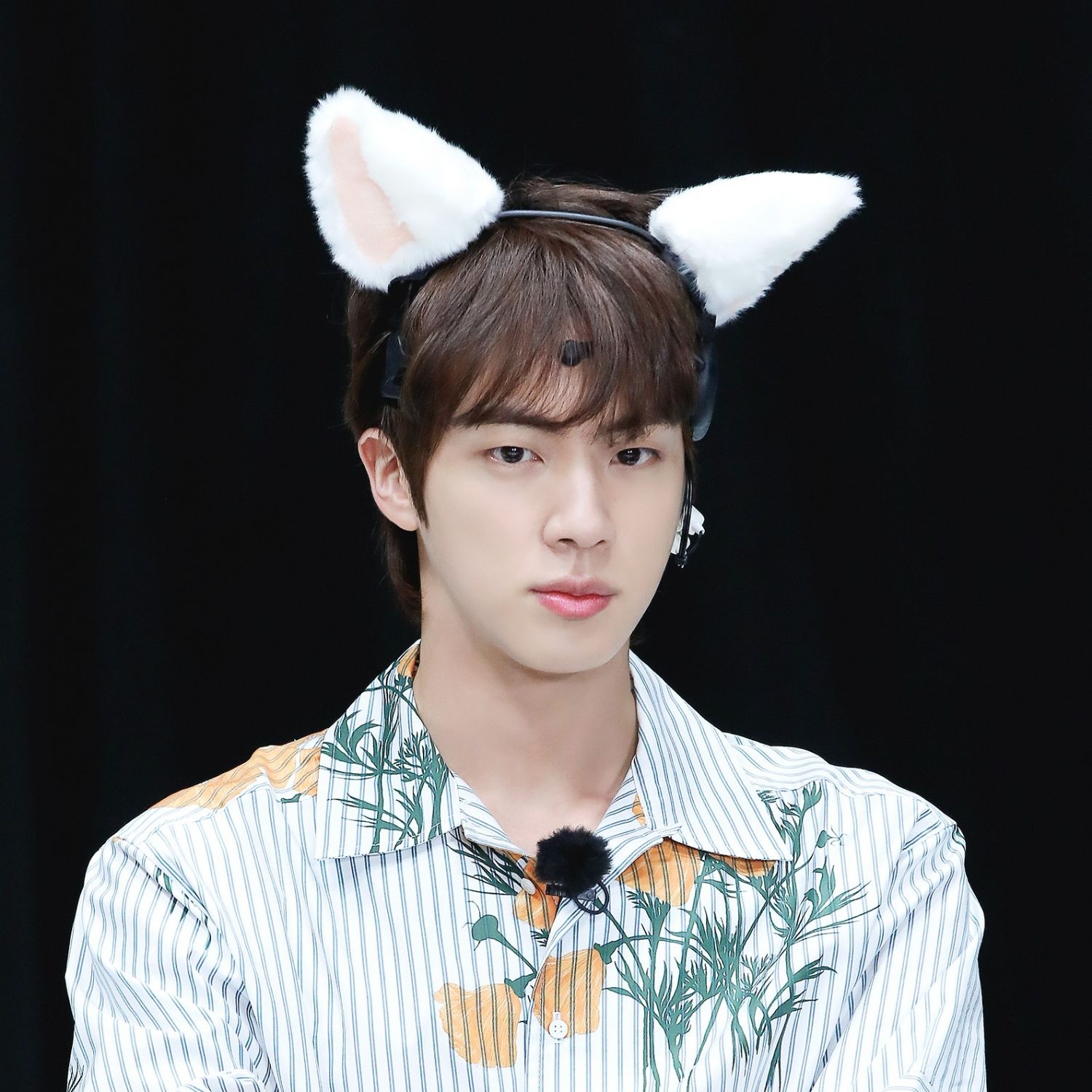 진 (방탄소년단) 팬이 찍은 순간