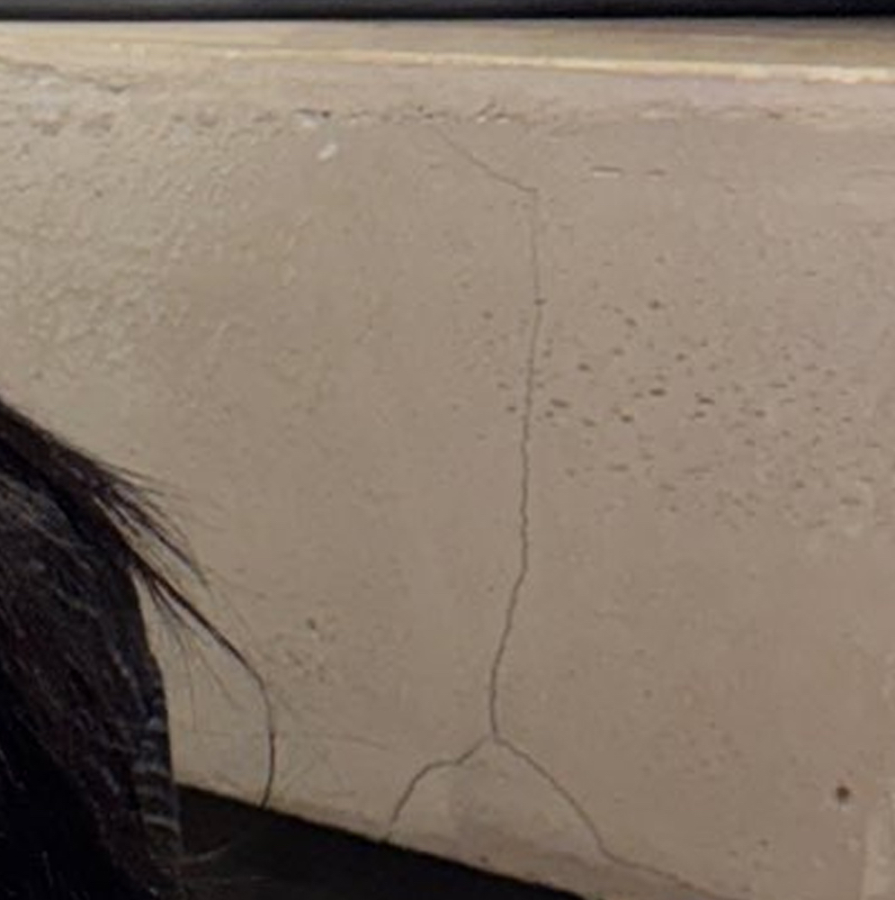 Latest photo of Go Won (Loossemble)