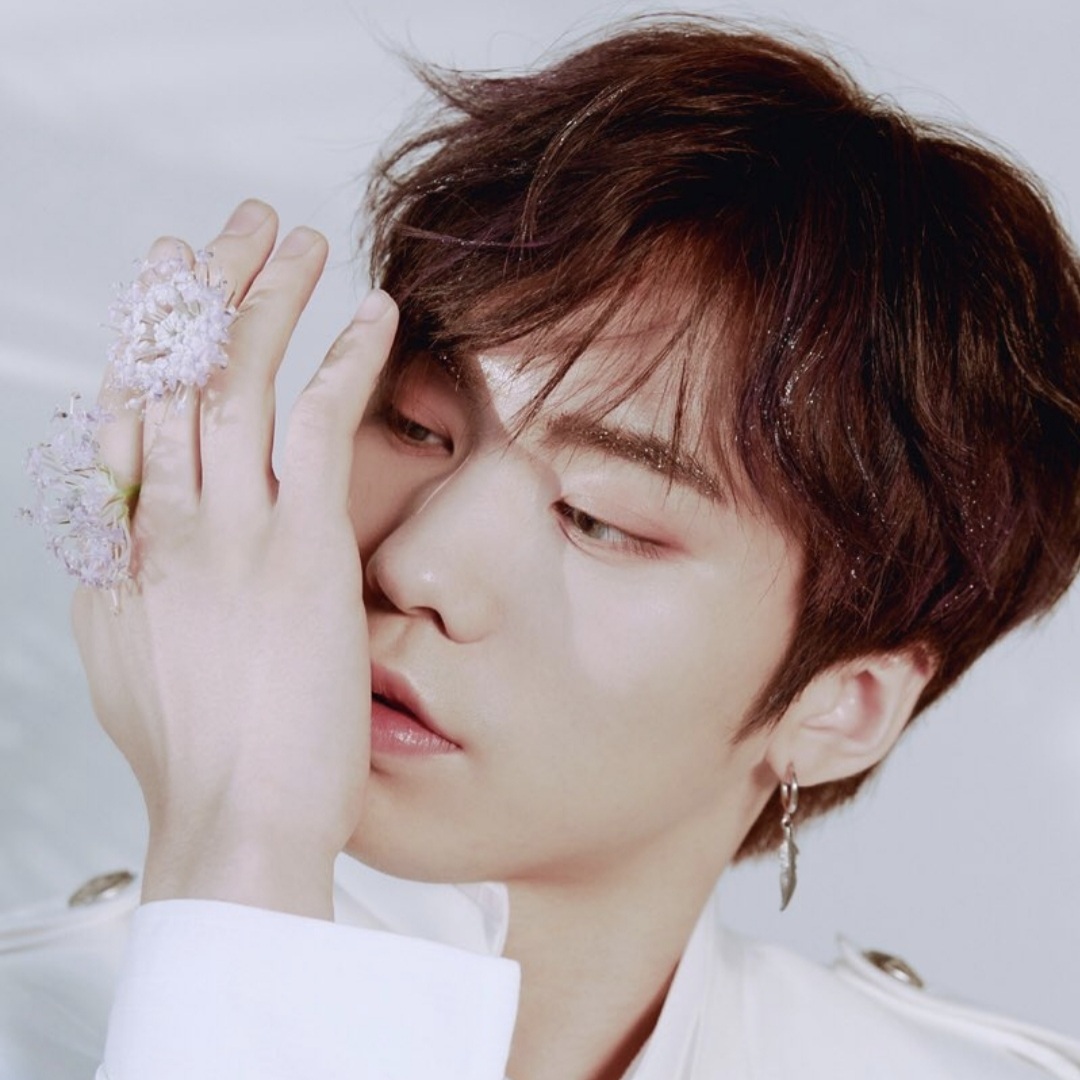 Latest photo of Rocky