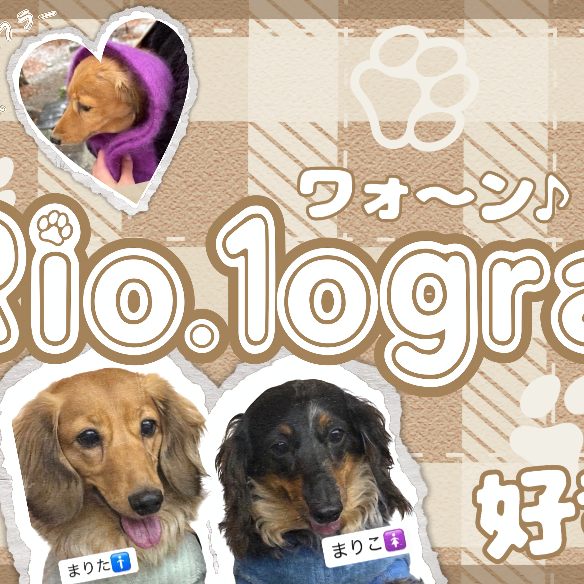 리오 (NiziU)의 최신 사진