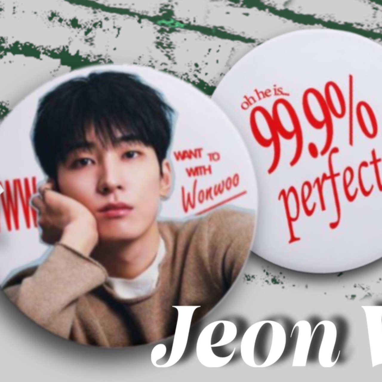 A moment captured by Wonwoo (SEVENTEEN)'s fan