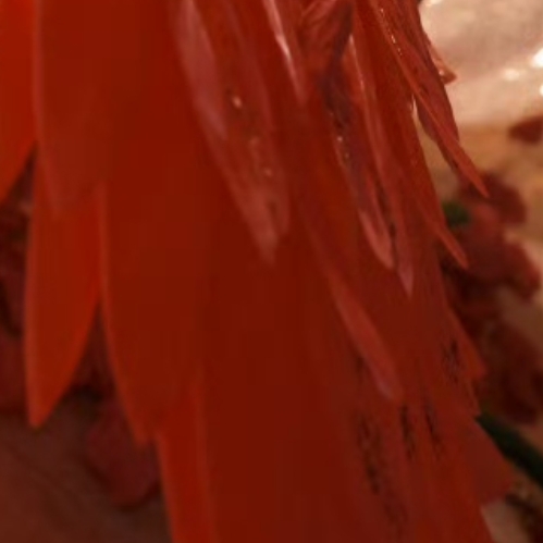 Recent activity shot of Cheng Xiao