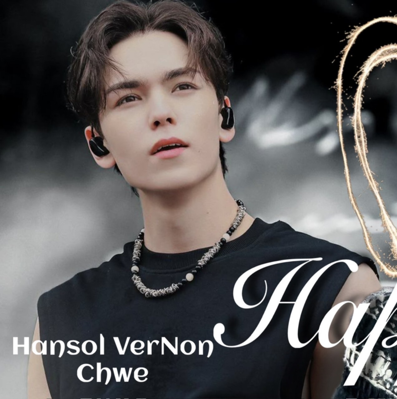 A moment captured by Vernon (SEVENTEEN)'s fan