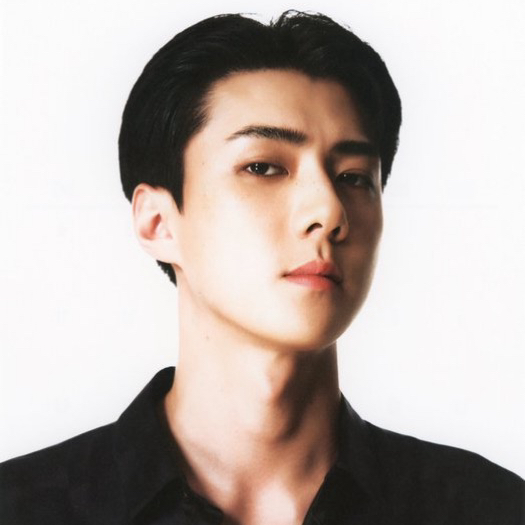 世勳 (EXO)的最新照片
