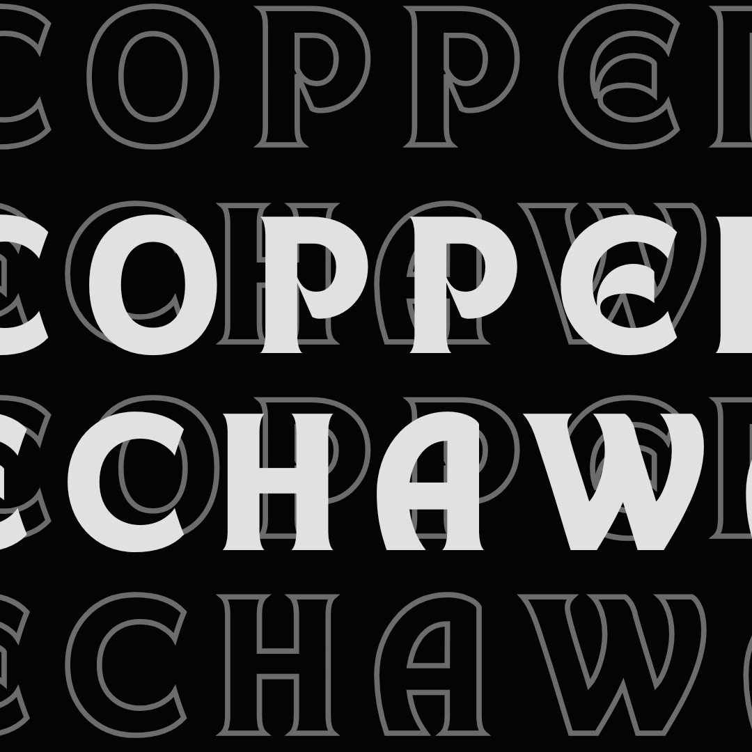 코퍼 (BUS) 최근 활동샷