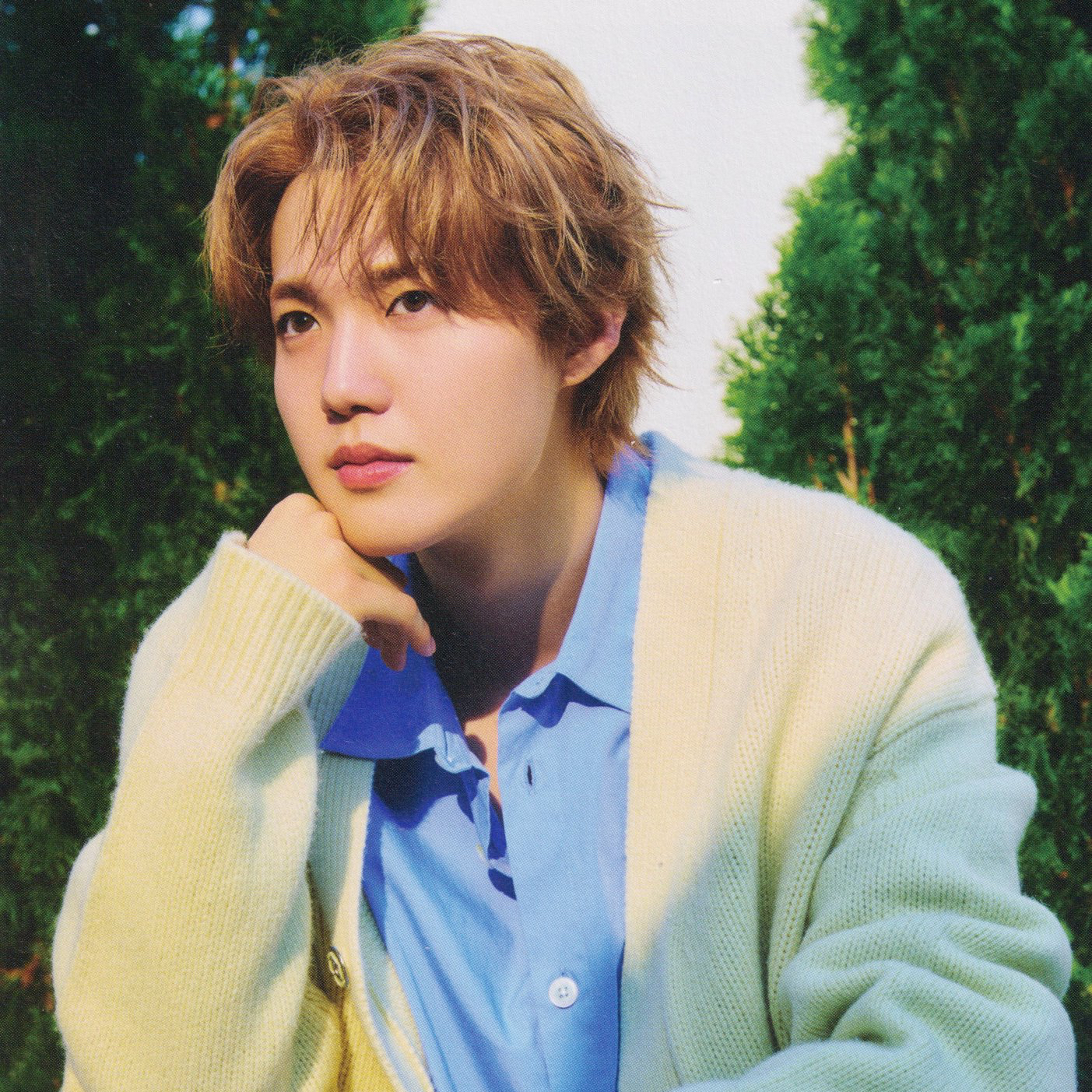 Latest photo of Doyoung (TREASURE)