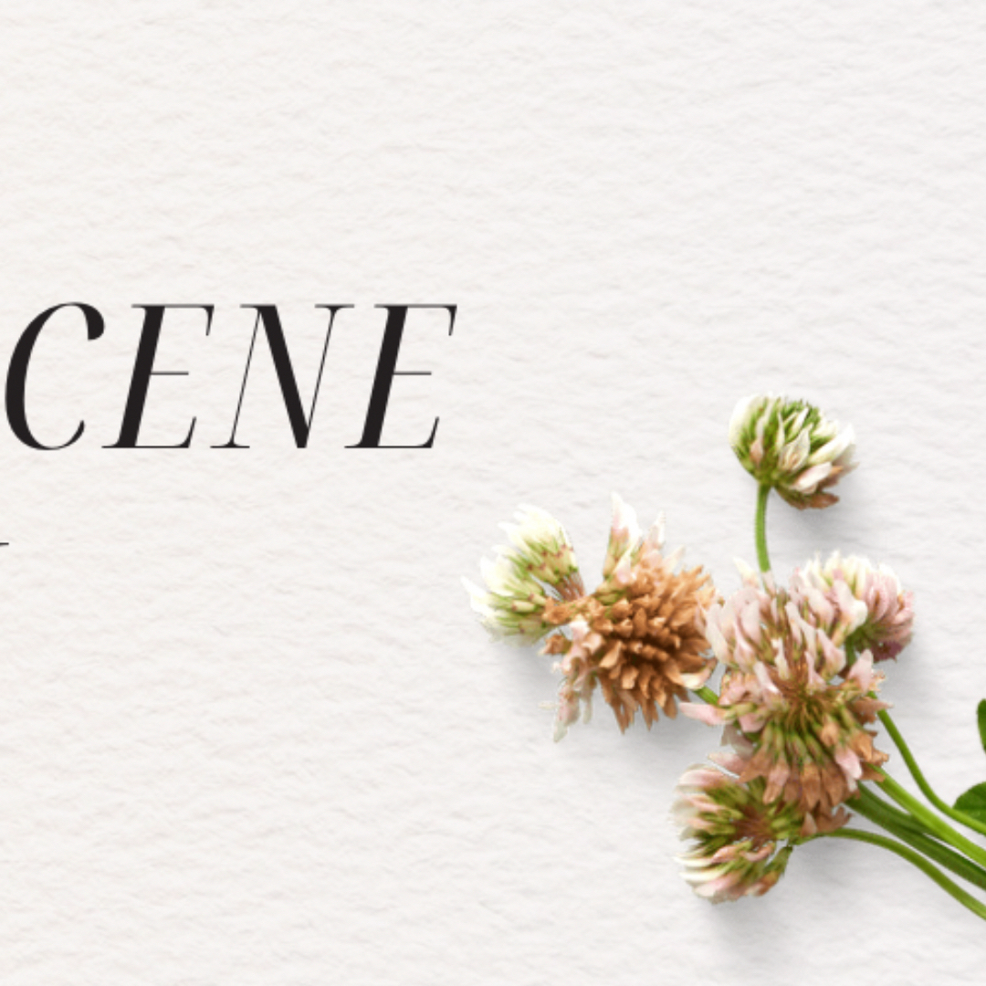 Recent activity shot of Liv (RESCENE)