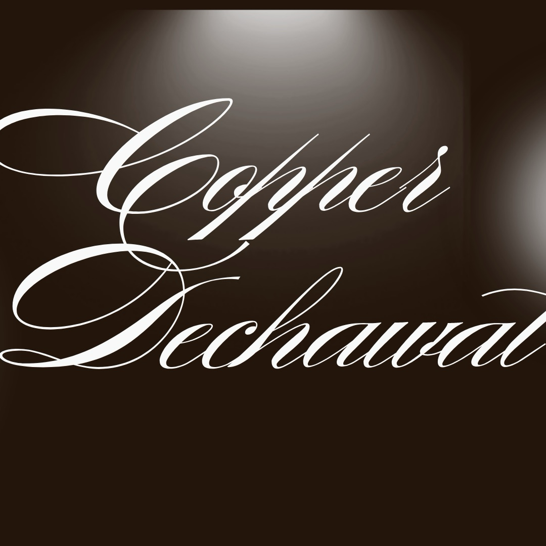 Copper (BUS)粉絲拍下的瞬間