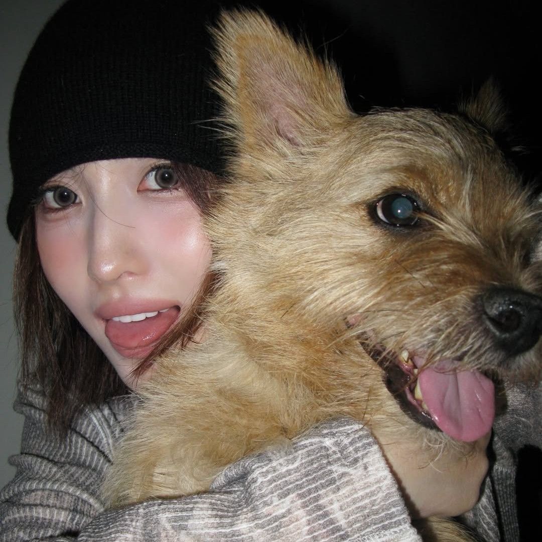 A moment captured by Momo (TWICE)'s fan