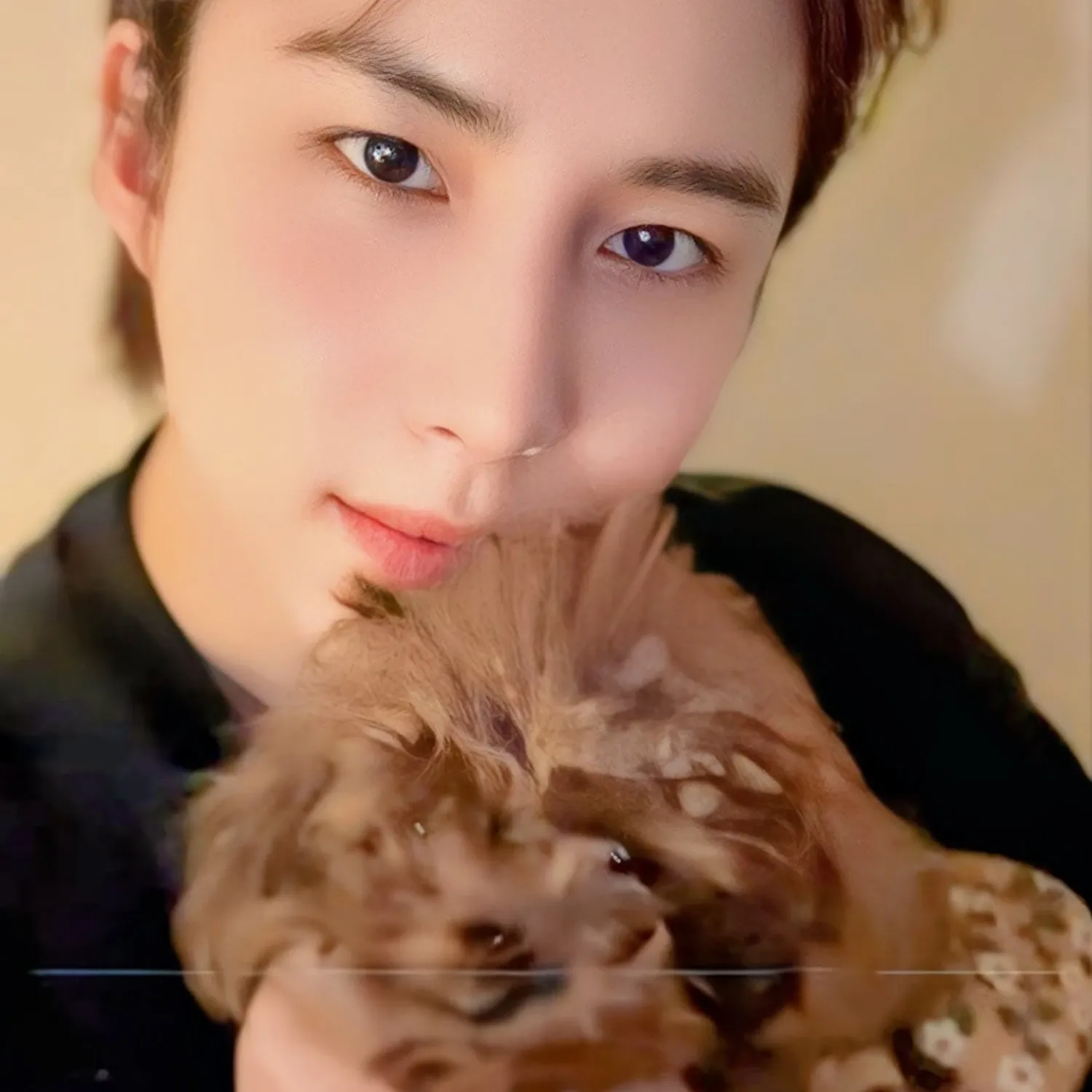 Latest photo of Wow (A.C.E)