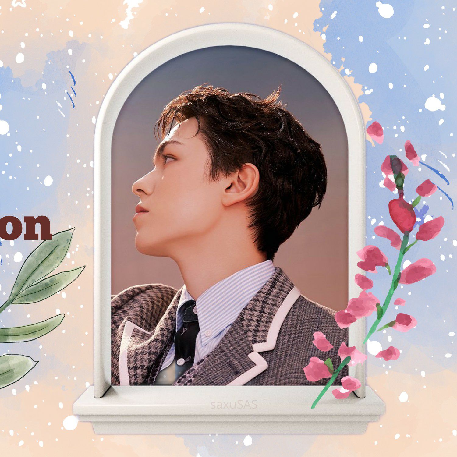 세븐틴 팬이 찍은 순간