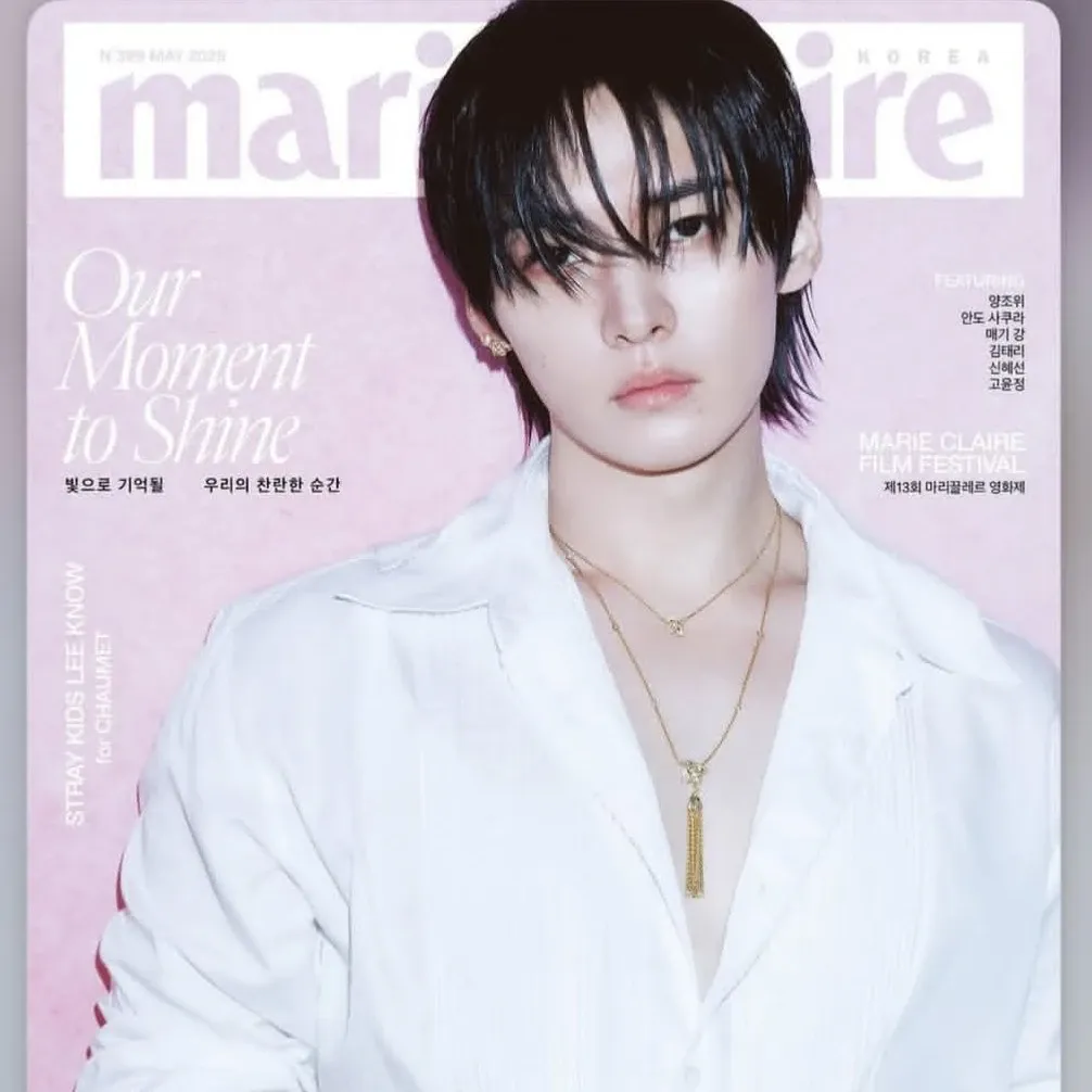 Stray Kids 최근 활동샷