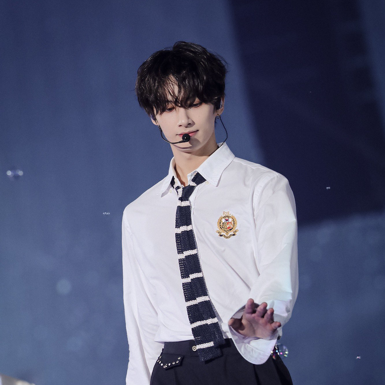 세븐틴 팬이 찍은 순간