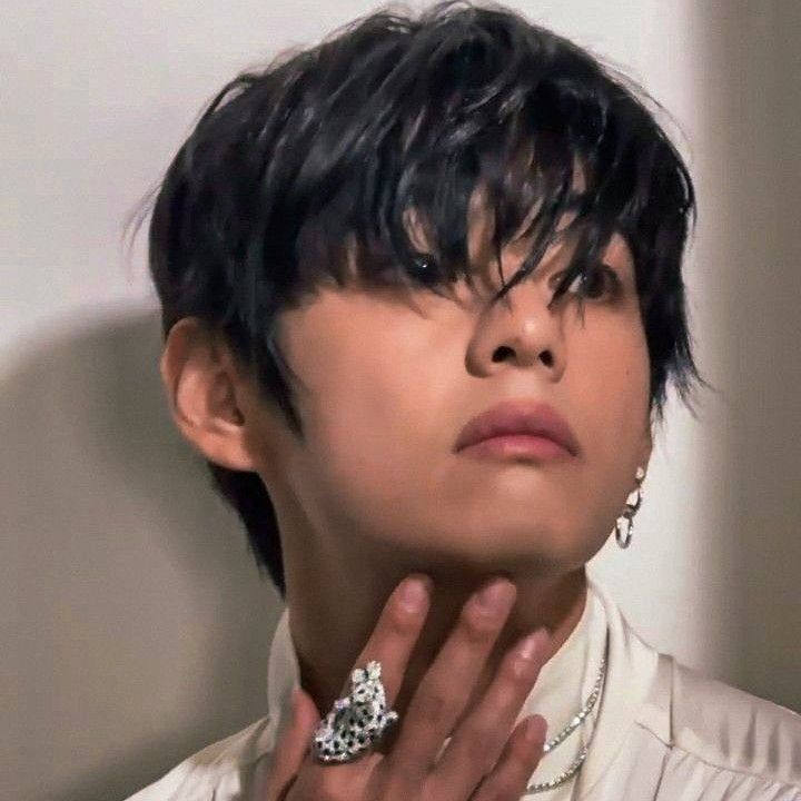 뷔 (방탄소년단) 팬이 찍은 순간