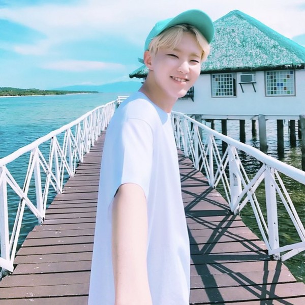 由粉絲團選擇的Hoshi (SEVENTEEN)最佳時刻