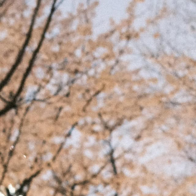 Latest photo of Jinjin (ASTRO)