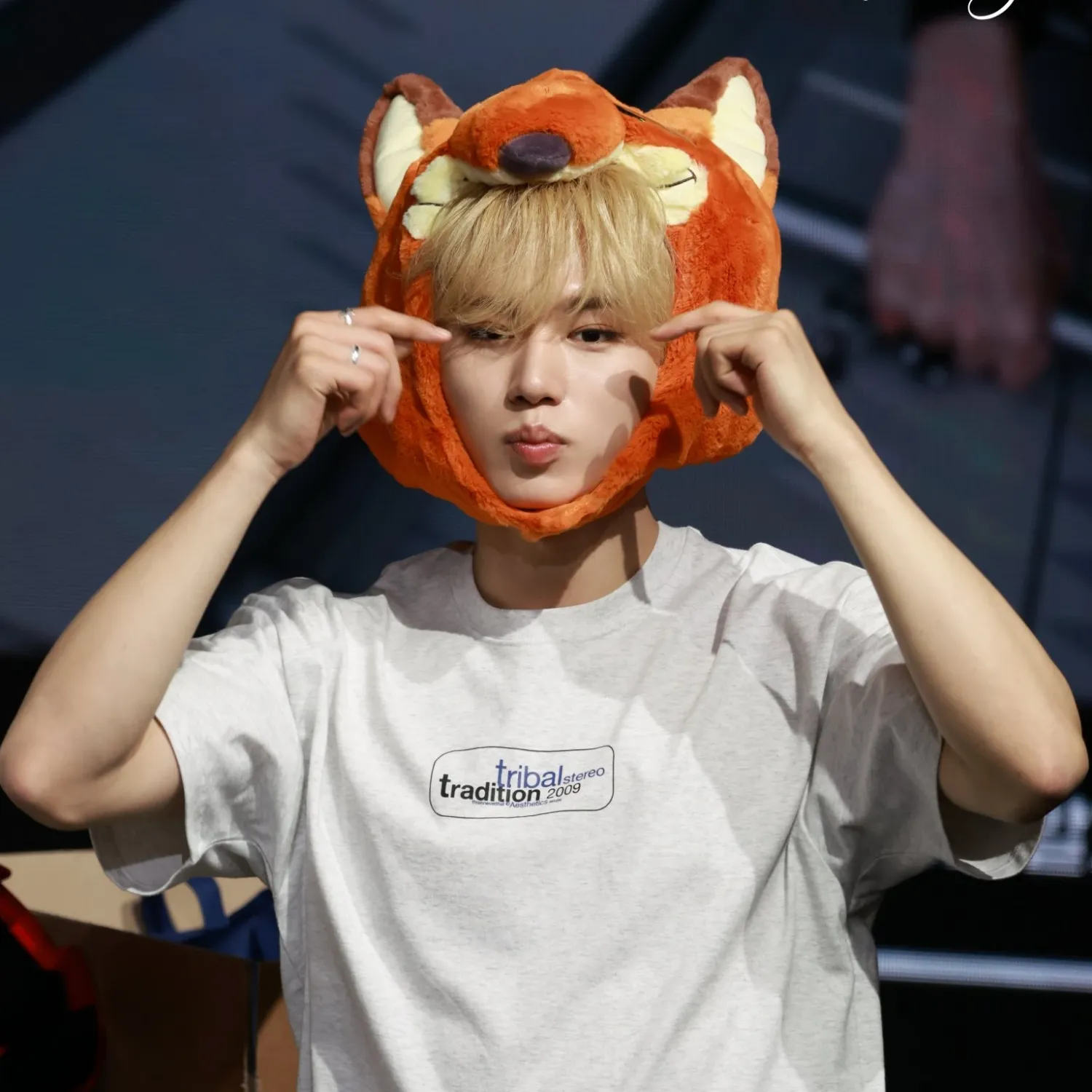 Latest photo of Kim Junseo (ALPHA DRIVE ONE)