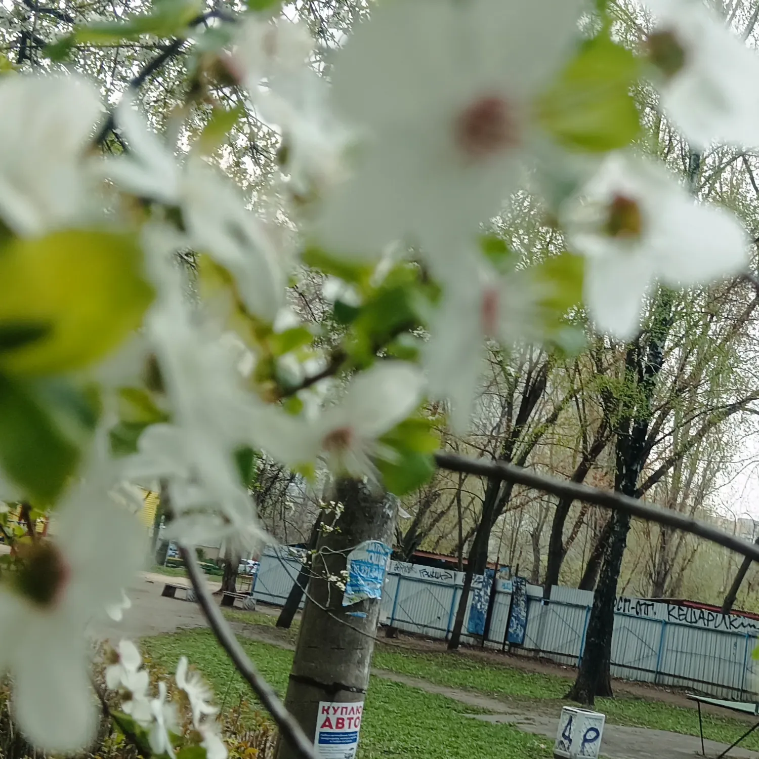 A moment captured by Stray Kids's fan