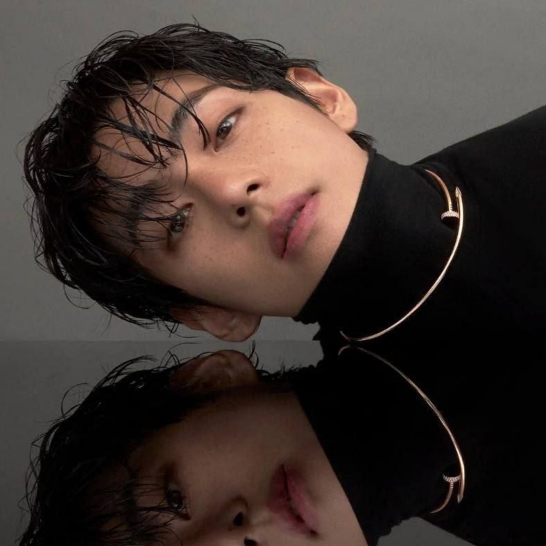 뷔 (방탄소년단) 팬이 찍은 순간