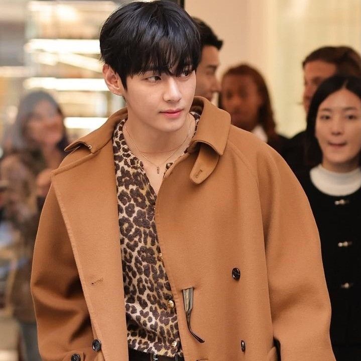 Potret di balik layar V (BTS)