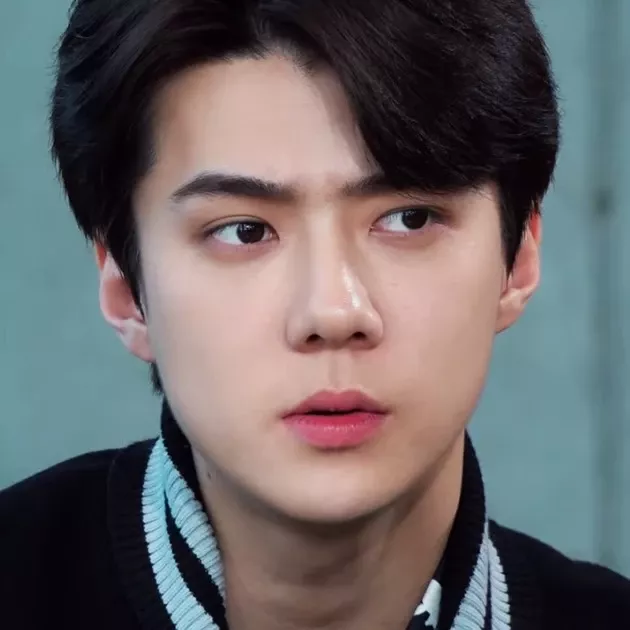 EXO 팬이 찍은 순간