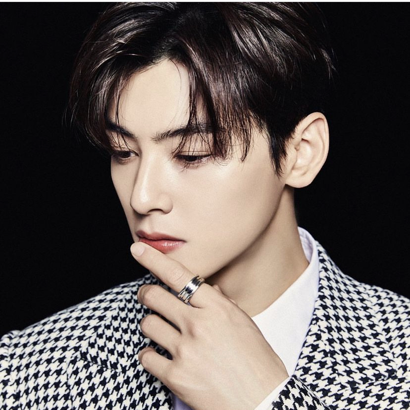 A moment captured by Eunwoo (ASTRO)'s fan